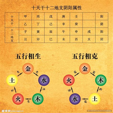 五行相生|五行相生相克之间的意义